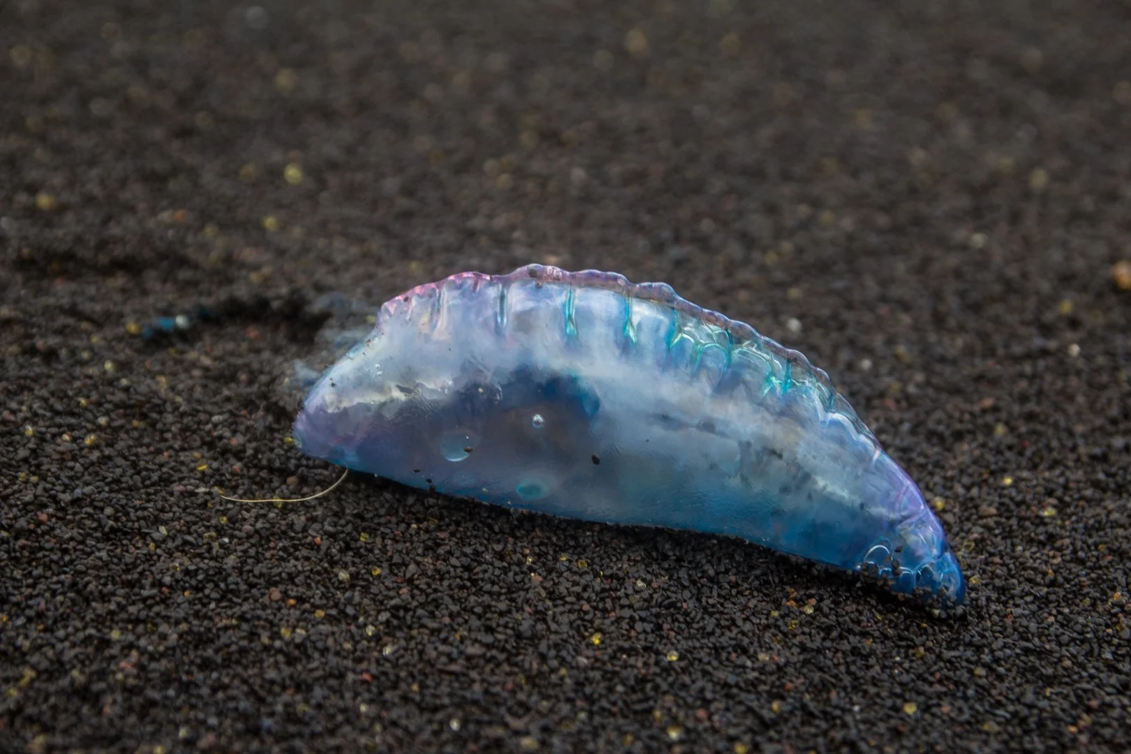 Timmelsjoch mountain pass 2025